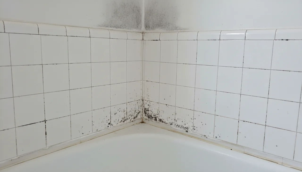 Mold in shower grout, tub caulk and the ceiling corner of a bathroom in Lafayette, Louisiana